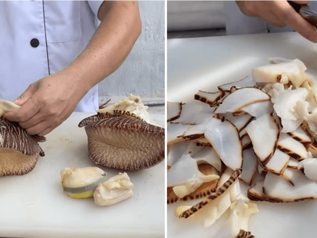 so-che-oc-giac-gion-san-sat-khong-tanh