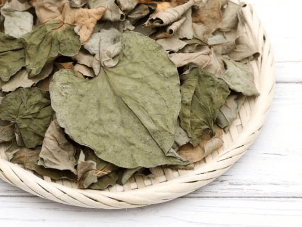 so-che-diep-ca-giu-nguyen-duong-chat-va-mui-thom