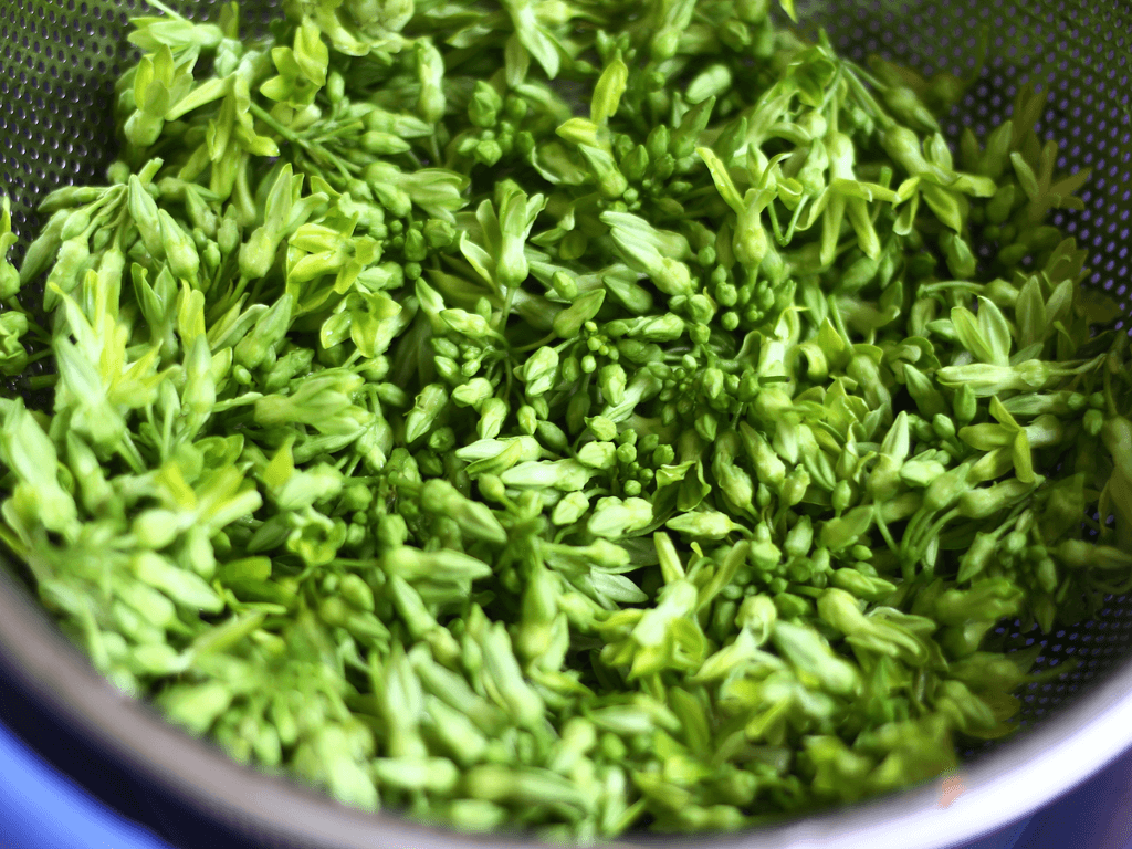 chon-va-so-che-hoa-thien-ly-giu-mau-xanh-muot-khong-bi-dang