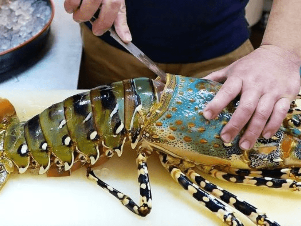 so-che-chuan-bi-nguyen-lieu-giu-tuoi-khu-mui-tanh