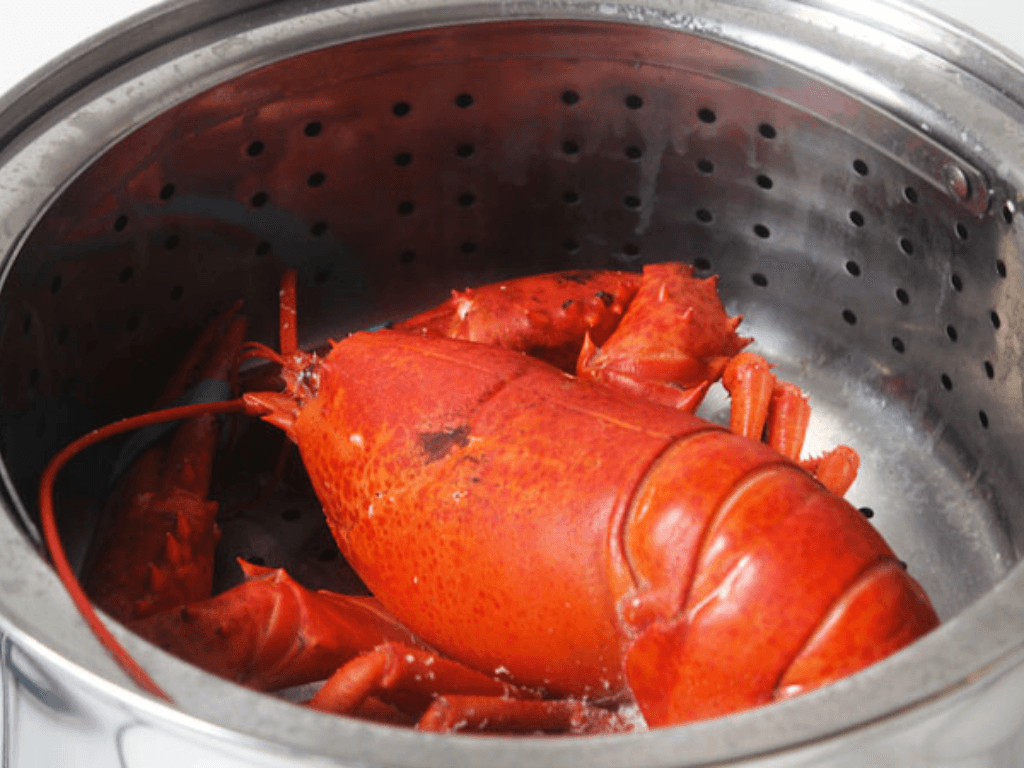 hap-tom-hum-chuan-thoi-gian-chuan-huong-vi