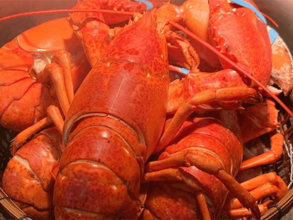 tom-hum-hap-mon-sang-chanh-nhung-de-lam-bat-ngo