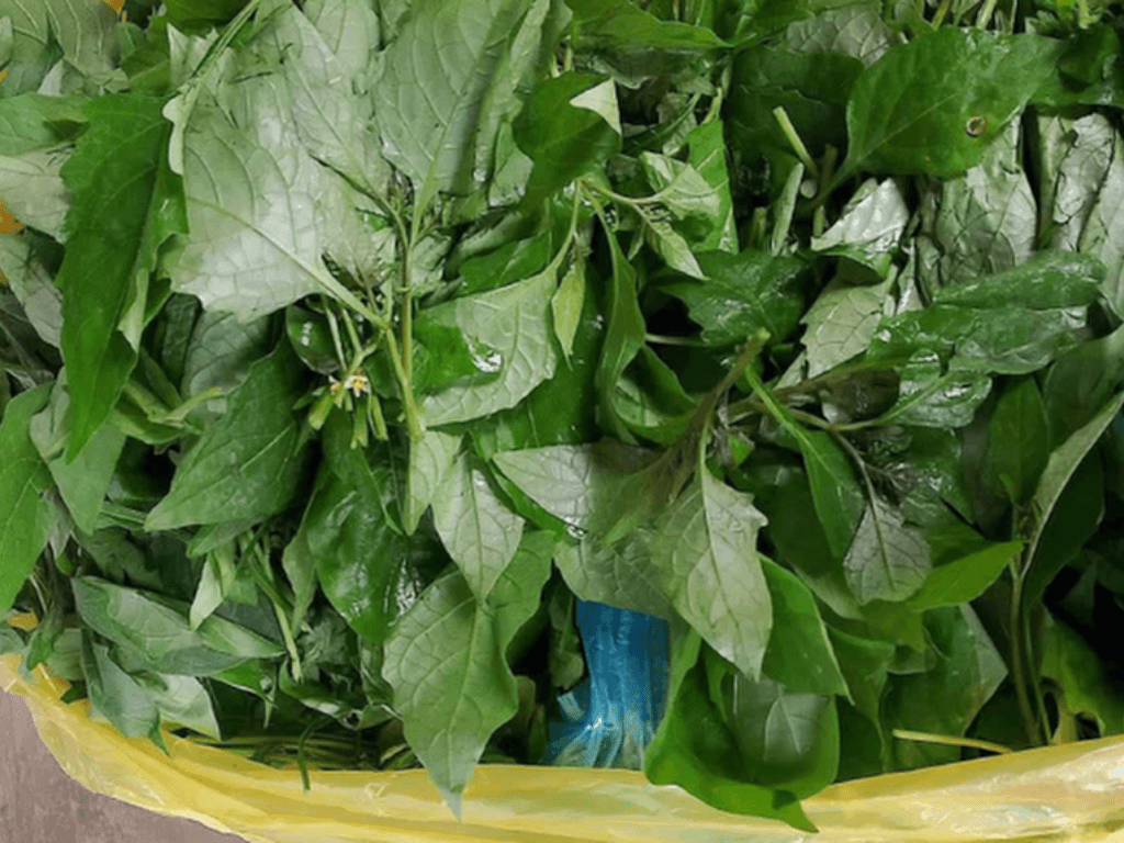 an-rau-tam-bop-co-tac-dung-gi-7-loi-ich-khien-gioi-y-hoc-phai-chu-y