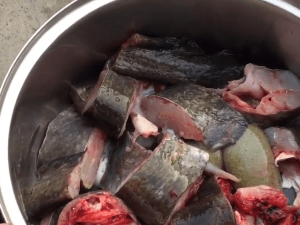 uop-ca-bi-quyet-de-ca-ngam-dam-rieng-me-thom-nuc-mui