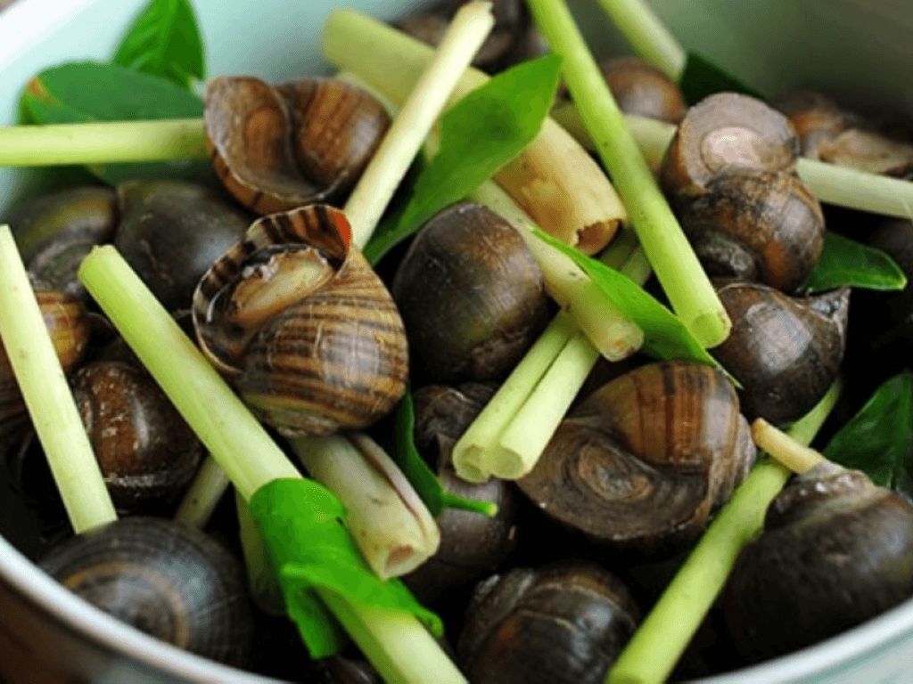 hap-oc-lac-giu-nguyen-vi-gion-ngot-va-thom-nuc-sa