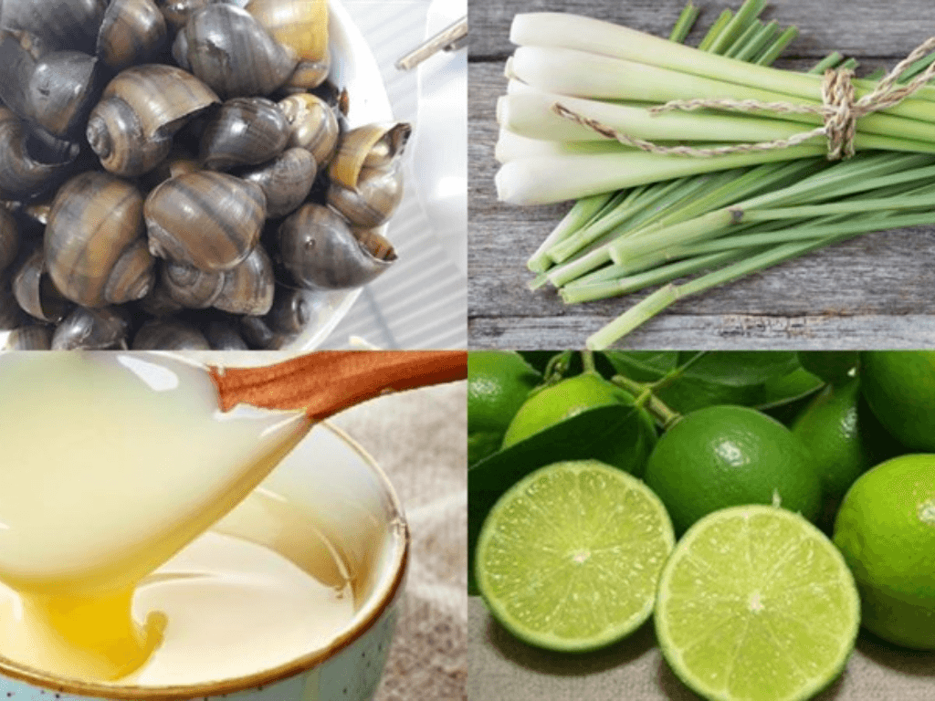 chuan-bi-nguyen-lieu-chon-oc-va-gia-vi-chuan-de-mon-hap-hoan-hao