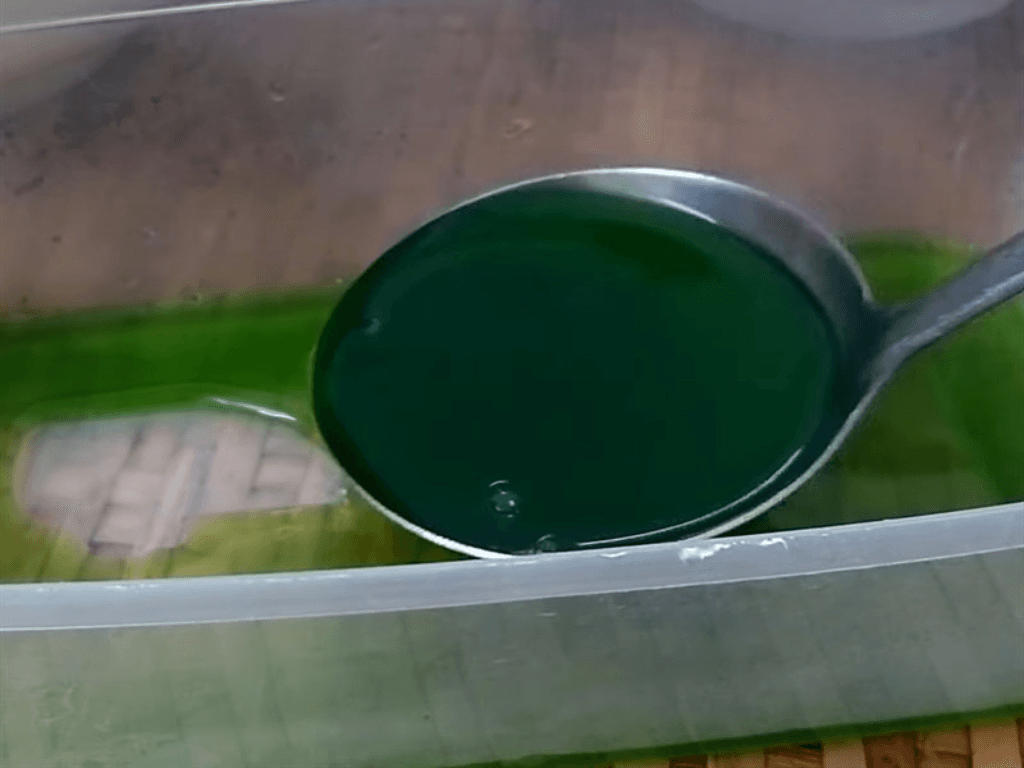 do-khuon-tao-hinh-bien-rau-cau-thanh-tac-pham-dep-nhu-tranh-ve