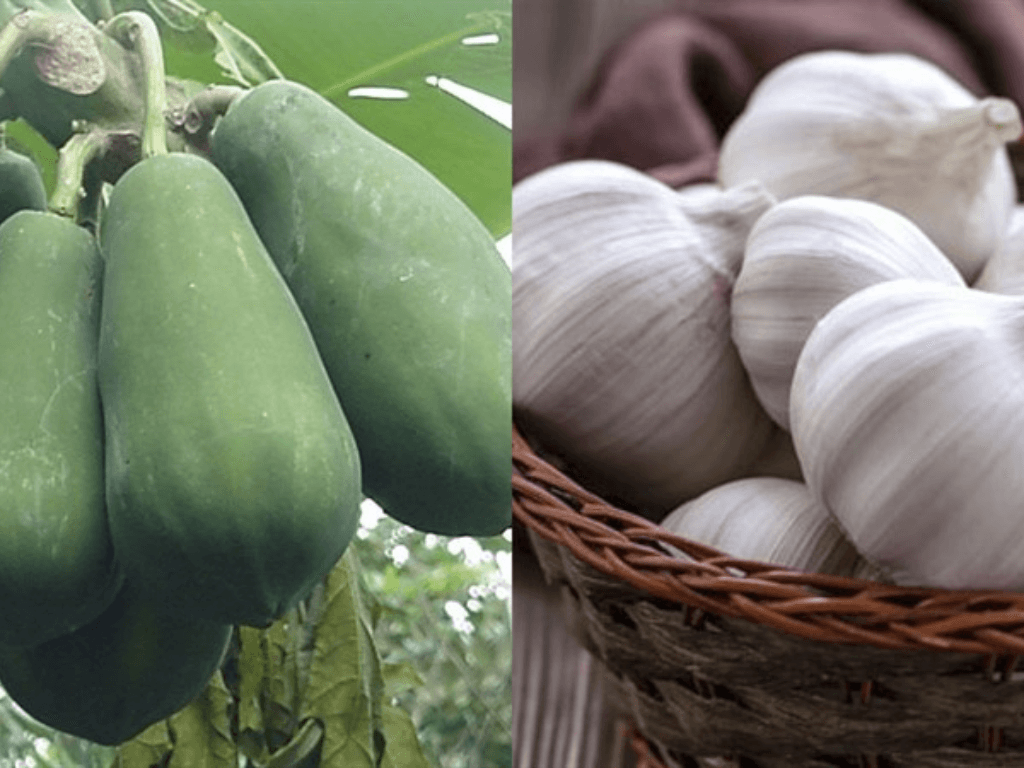 chuan-bi-nguyen-lieu-don-gian-nhung-phai-chuan-de-du-du-khong-hang