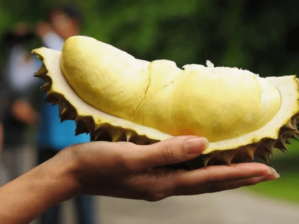 nhung-luu-y-khi-an-sau-rieng-danh-cho-nguoi-an-kieng-va-benh-ly