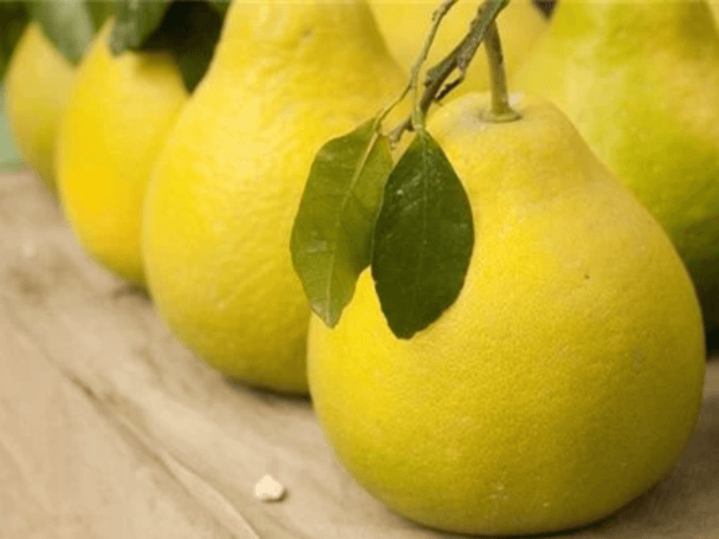 cach-nhin-vo-de-chon-dung-buoi-nam-roi-ngon