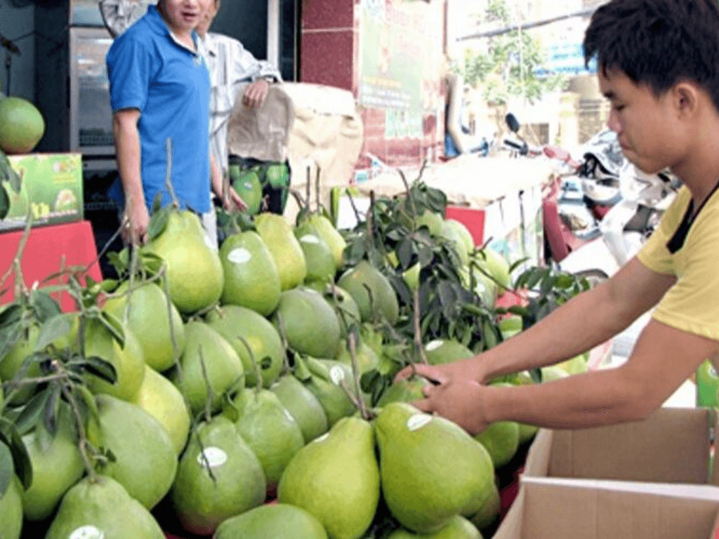 so-cam-nghe-tieng-de-phan-biet-buoi-ngon