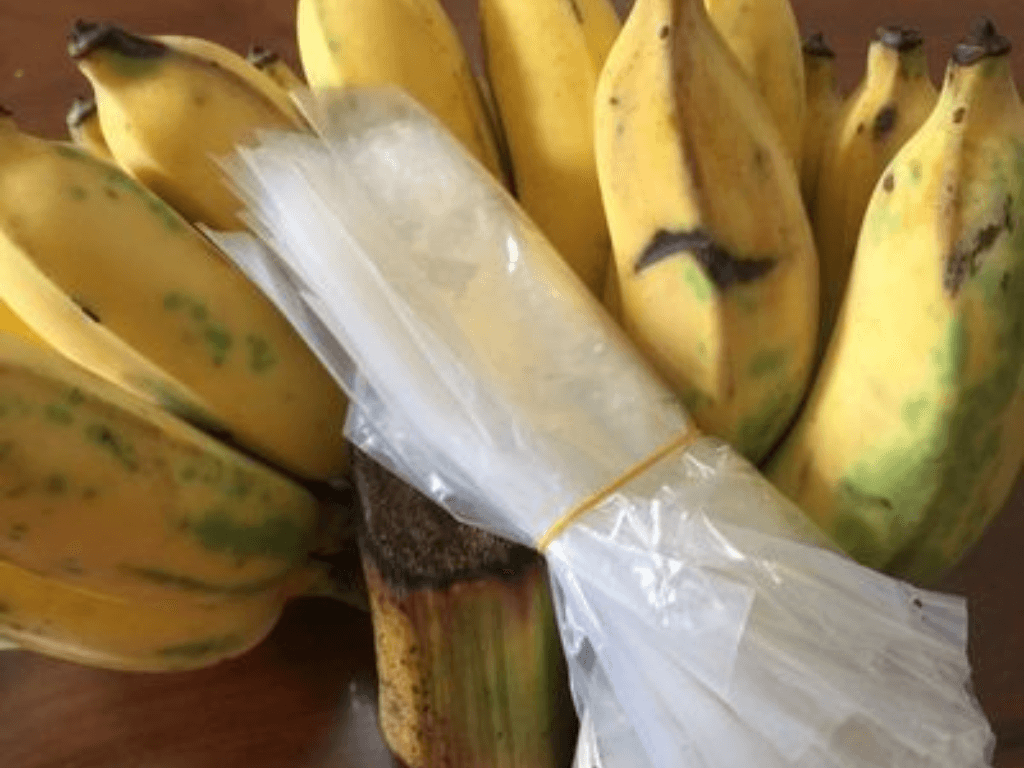 nguyen-lieu-chuan-chon-chuoi-ngon-de-ep-kho