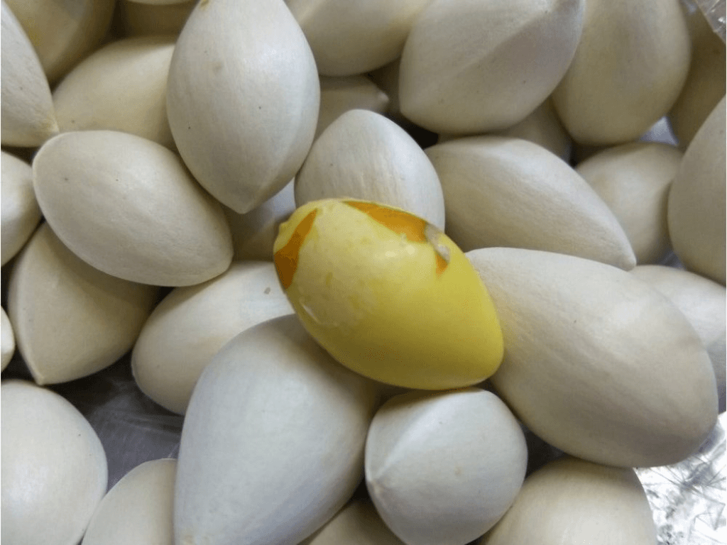 so-che-bach-qua-cac-nguyen-lieu-di-kem