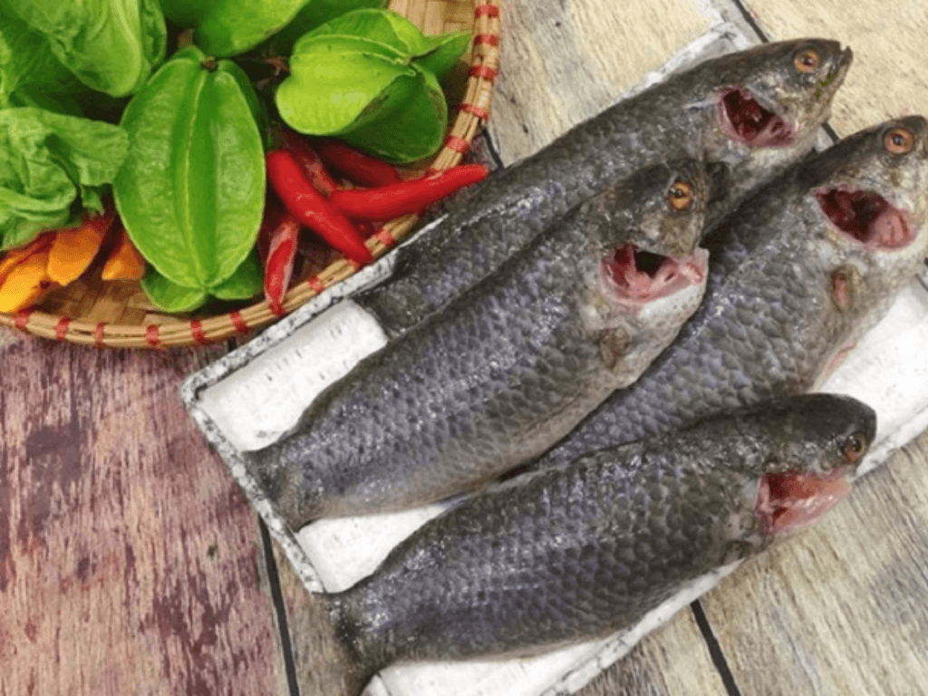 cach-so-che-ca-ro-dong-de-khong-bi-tanh