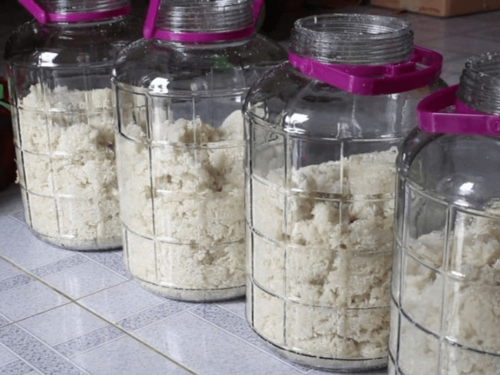 tuyet-chieu-u-ruou-nep-nhanh-khong-chua-khong-hong-men