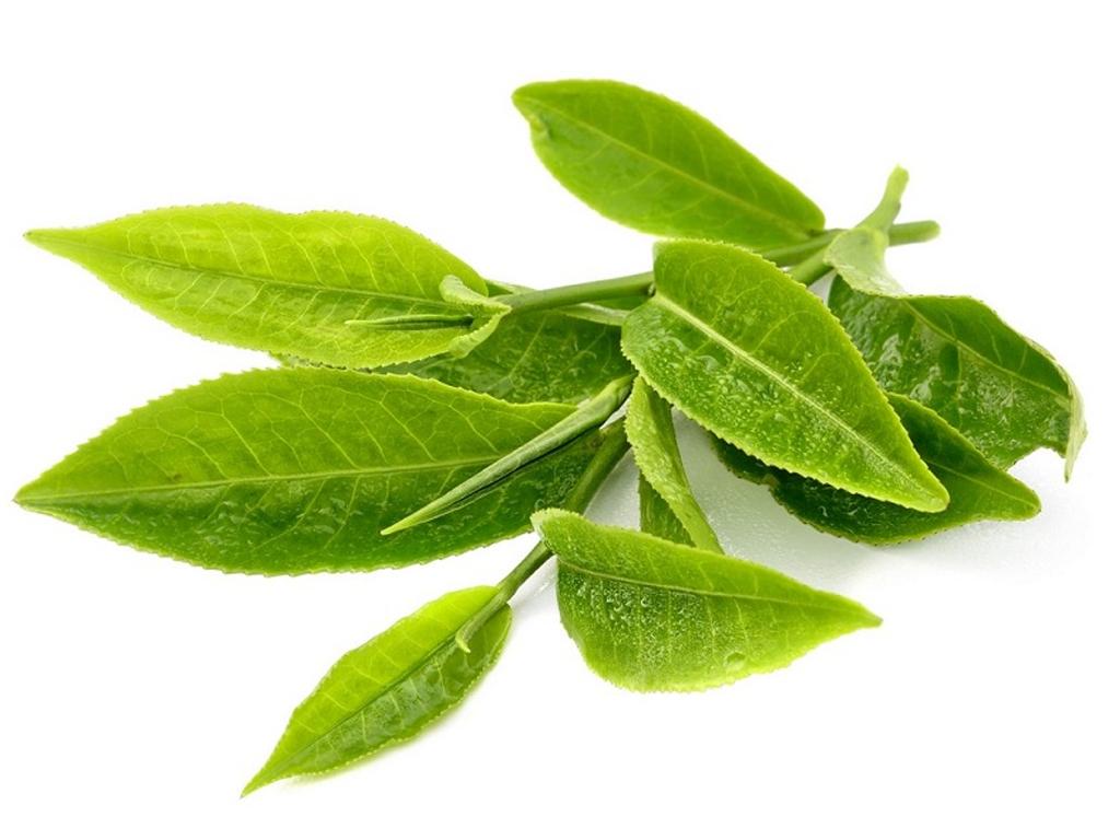 cach-tu-lam-bot-matcha-tai-nha