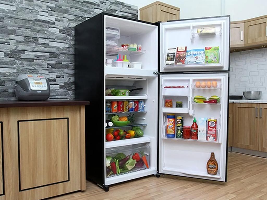 tu-lanh-2-canh-duoi-10-trieu