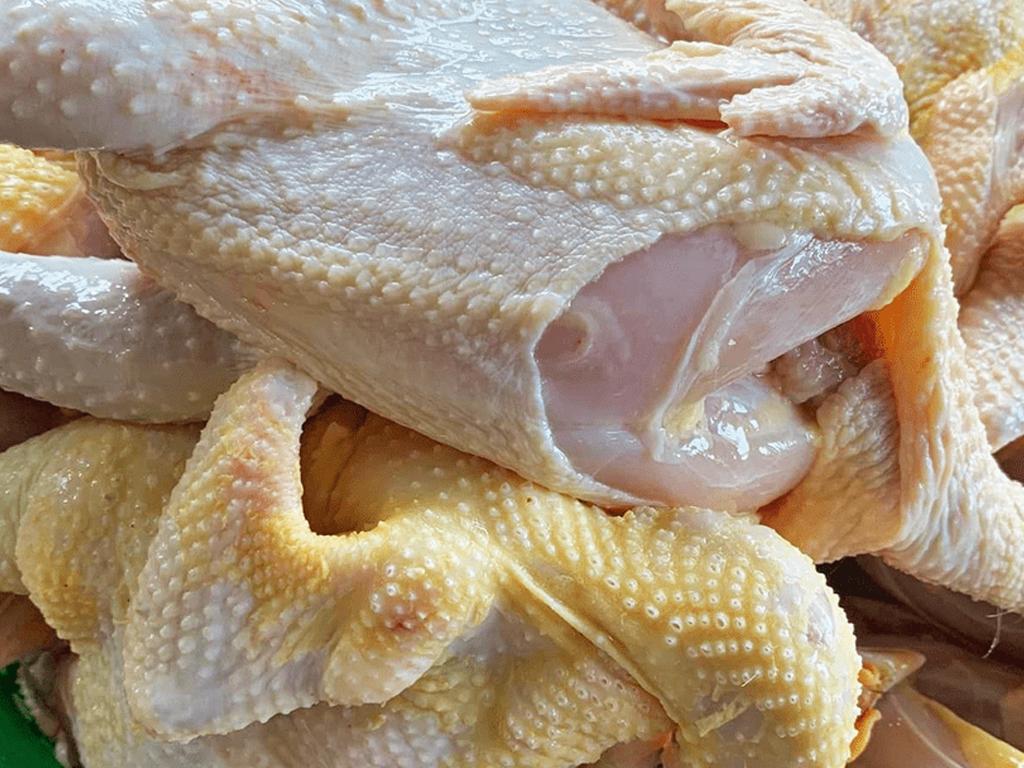 cach-chon-ga-tuoi-ngon