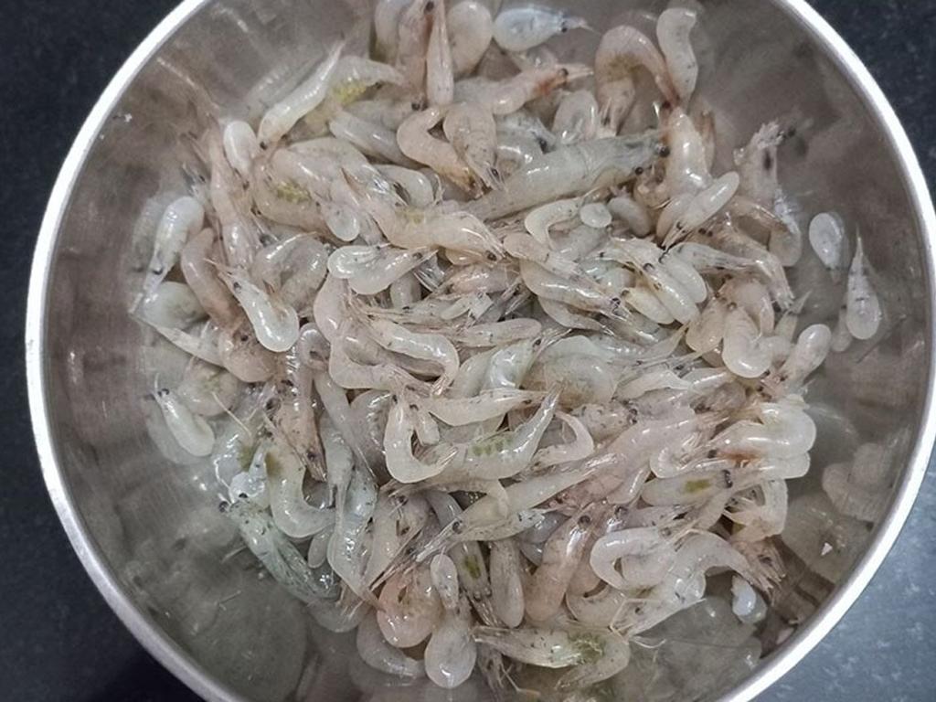 nguyen-lieu-lam-tep-chien-bot