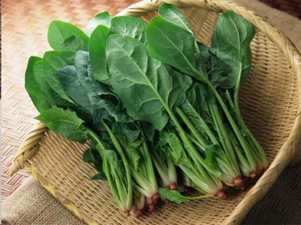 loi-ich-khi-an-cai-bo-xoi-xao-toi