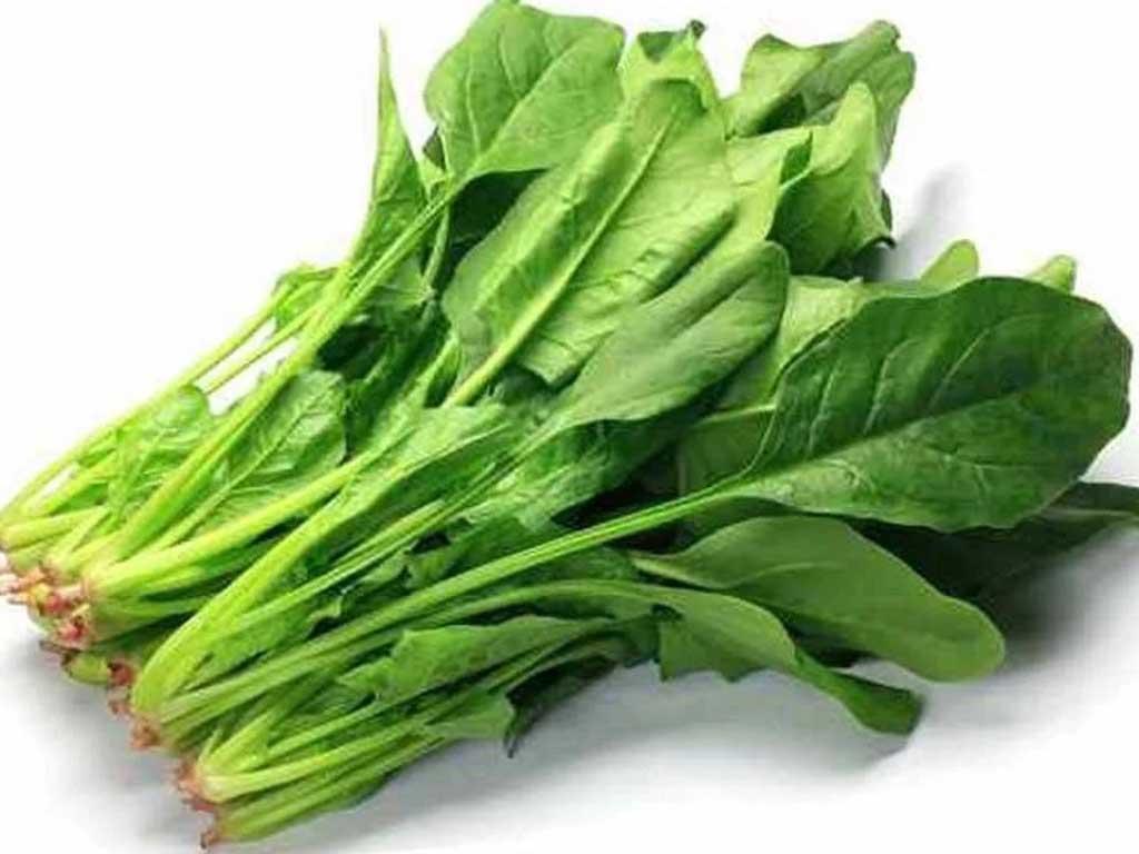 nguyen-lieu-lam-cai-bo-xoi-xao-toi