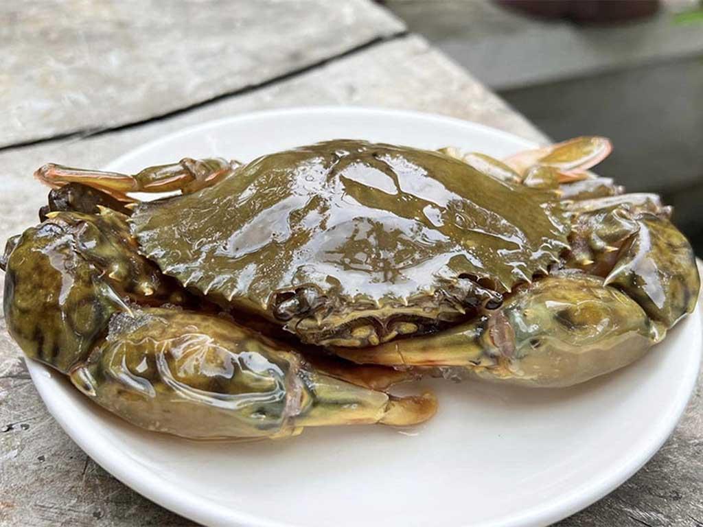 so-che-nguyen-lieu-lam-cua-lot-chien-gion