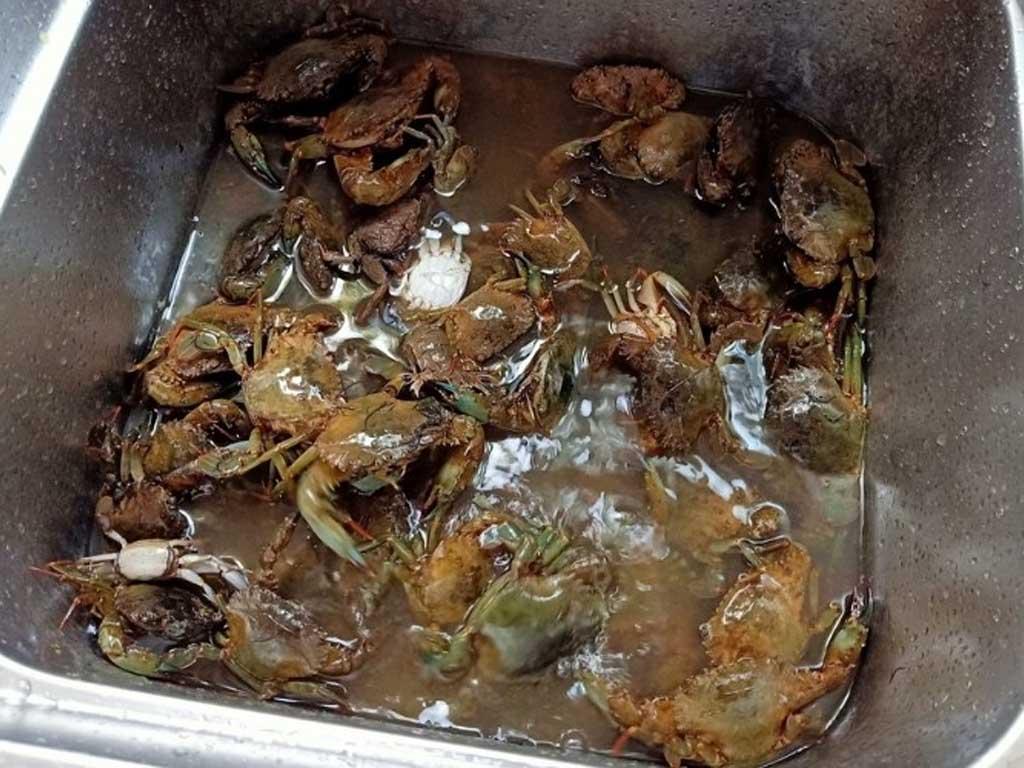 cach-so-che-rang-ram-ngon