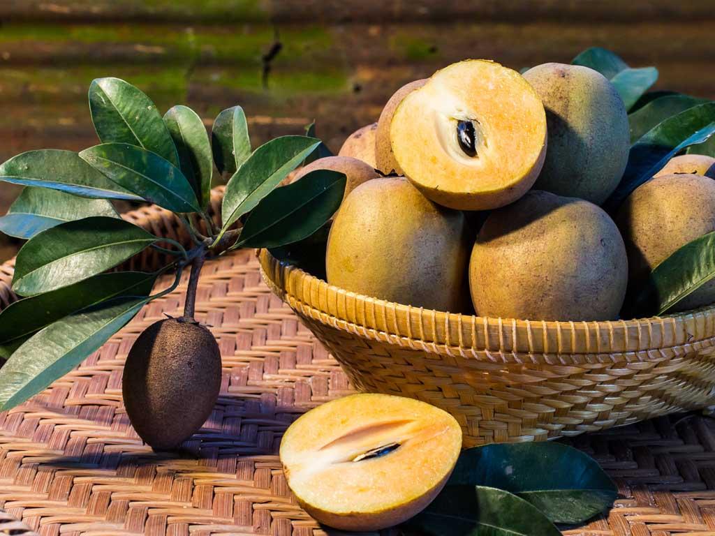 loi-ich-khi-an-sinh-to-hong-xiem