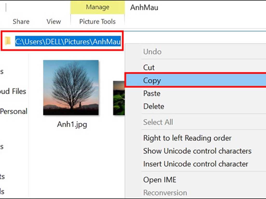 cach-chen-anh-vao-file-excel-tren-may-tinh