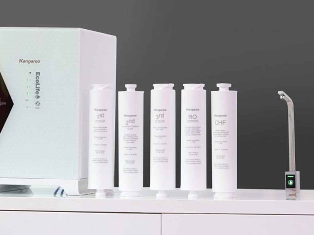 co-nen-mua-hang-kangaroo