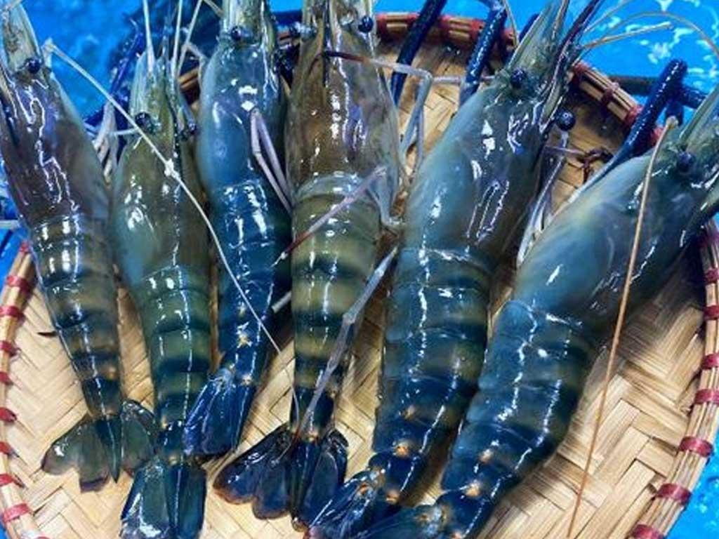 so-che-tom-cang-xanh-nuong-pho-mai