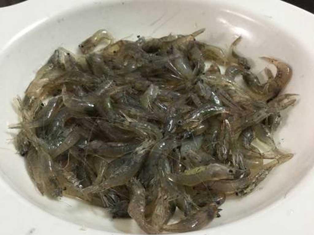 so-che-nguyen-lieu-lam-mon-tep-rang