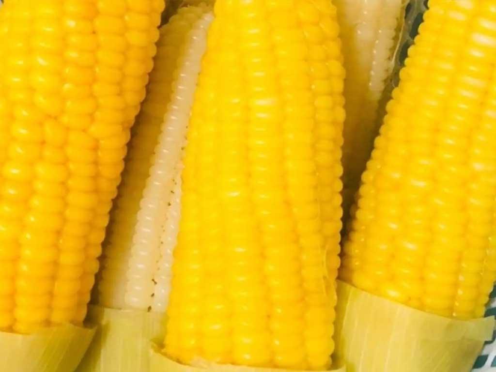 meo-luoc-ngo-bang-noi-com-dien