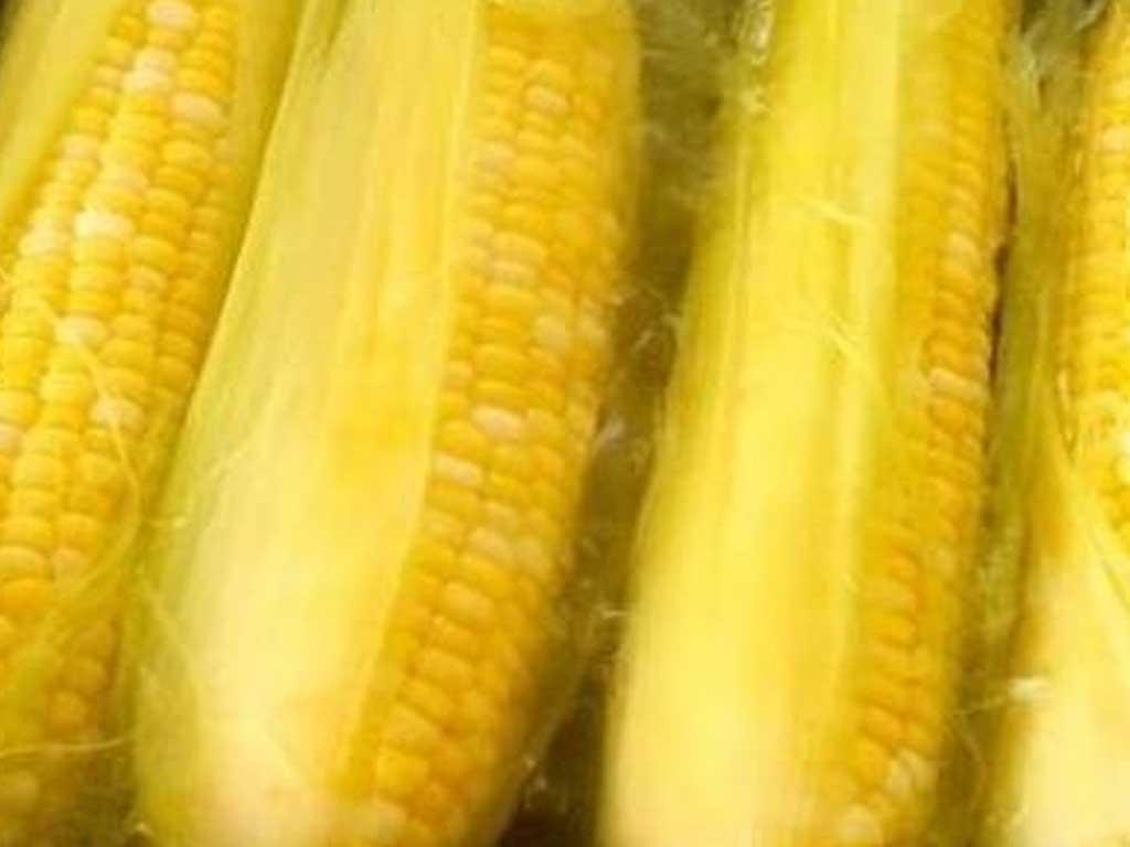 cach-luoc-ngo-bang-noi-com-dien-ngon