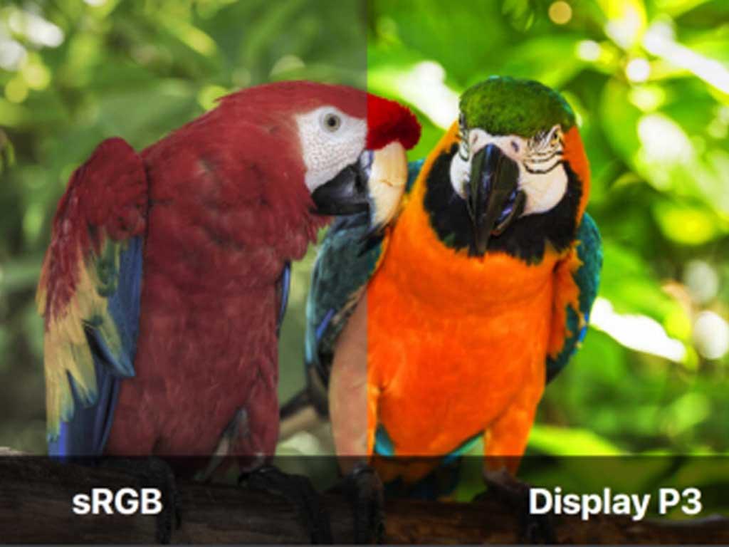 tim-hieu-do-phu-mau-dci-p3-la-gi