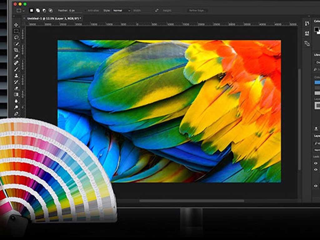 cach-kiem-tra-do-phu-mau-chuan