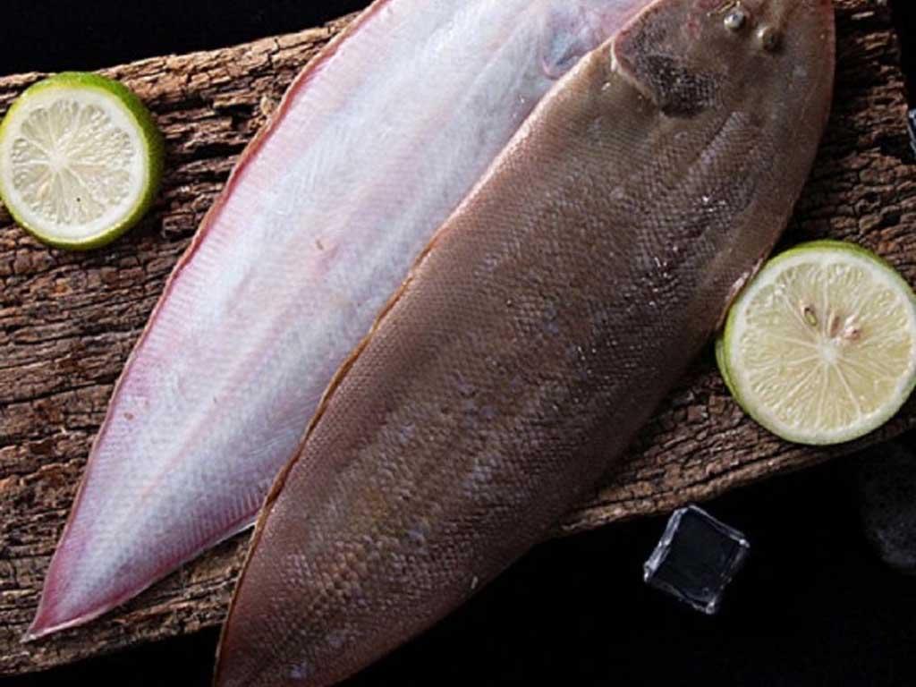 cach-chon-ca-bon-tuoi-ngon