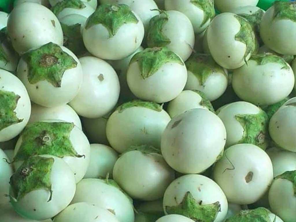 cach-chon-ca-phao-tuoi-gion