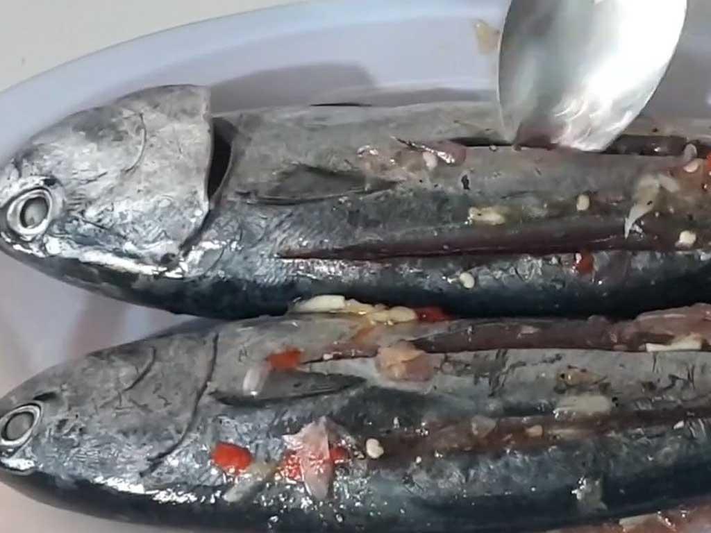 cach-chon-ca-o-tuoi-ngon