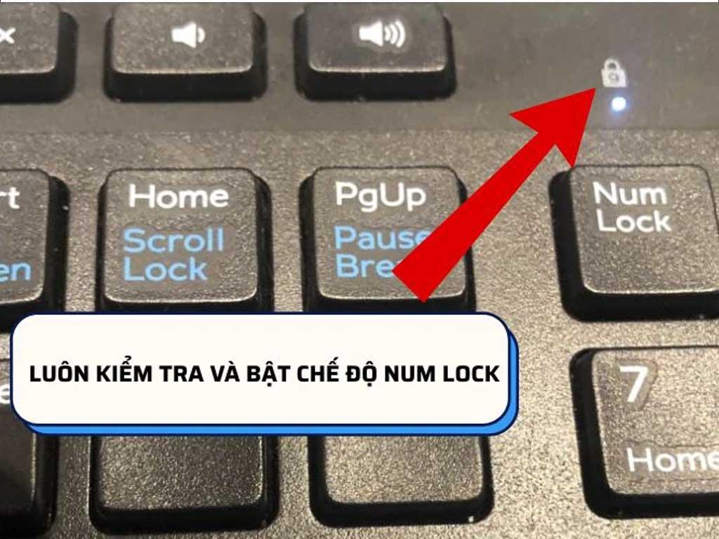 vi-sao-khoa-ban-phim-so-tren-laptop-asus-bi-khoa