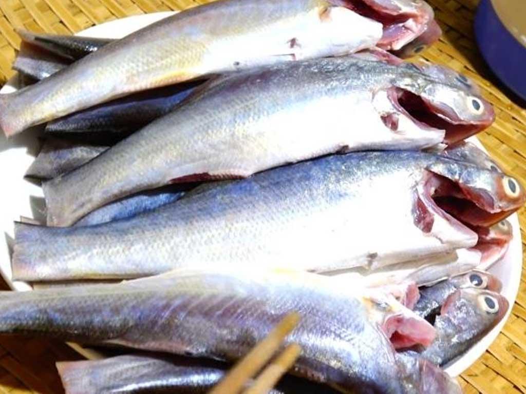 cach-chon-ca-chet-tuoi-ngon