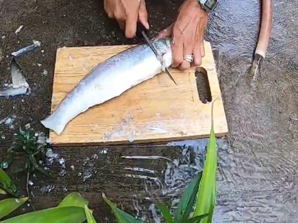 cach-so-che-ca-chet-tuoi-ngon