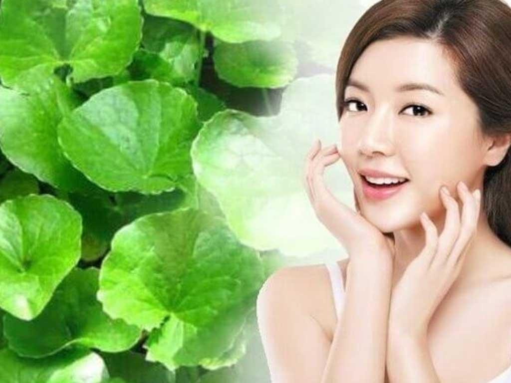 tim-hieu-rau-ma-co-tac-dung-gi-cho-da