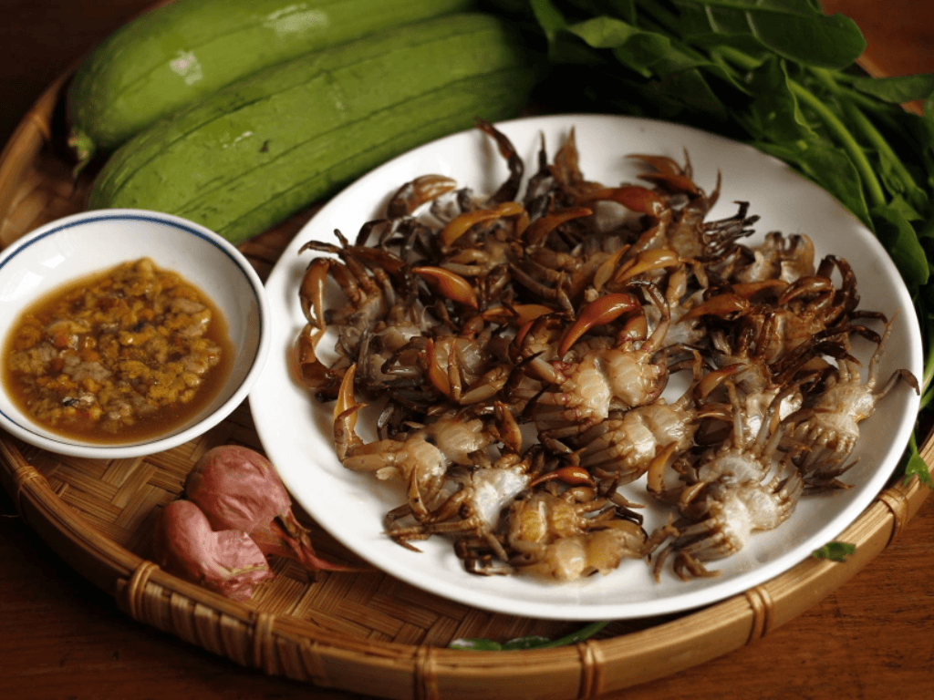 nguyen-lieu-nau-canh-cua-rau-day