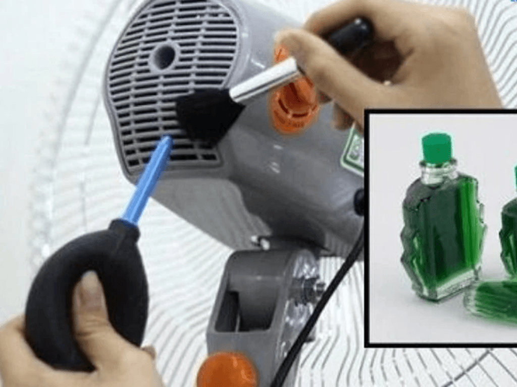 cach-duoi-muoi-trong-phong-bang-dau-gio