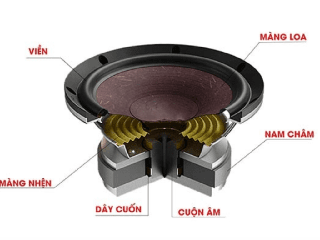 Cau-tao-cua-loa-dien-dong