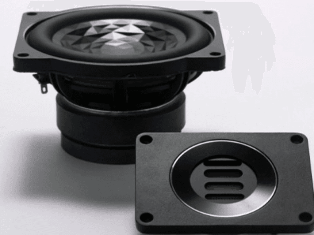 Loa-dien-dong-la-gi-va-vi-sao-duoc-ua-chuong