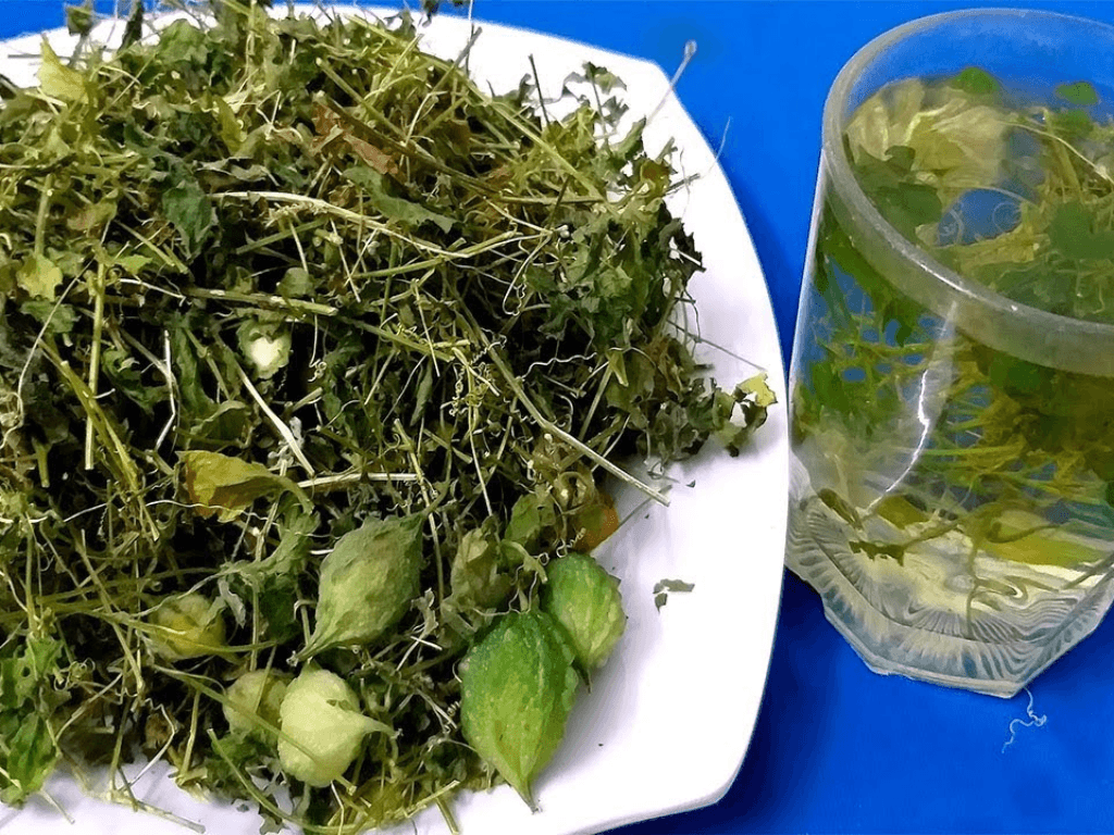 Cach-phoi-va-bao-quan-la-muop-dang-dung-chuan