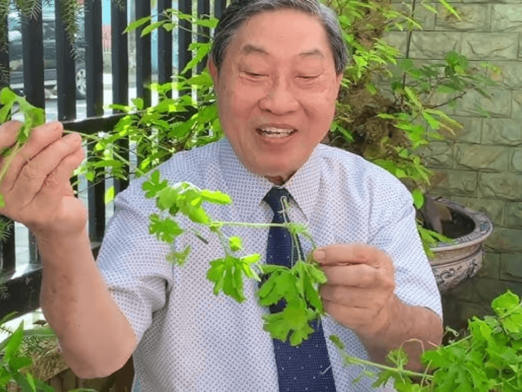 Tac-dung-cua-la-muop-dang-phoi-kho-trong-tri-benh