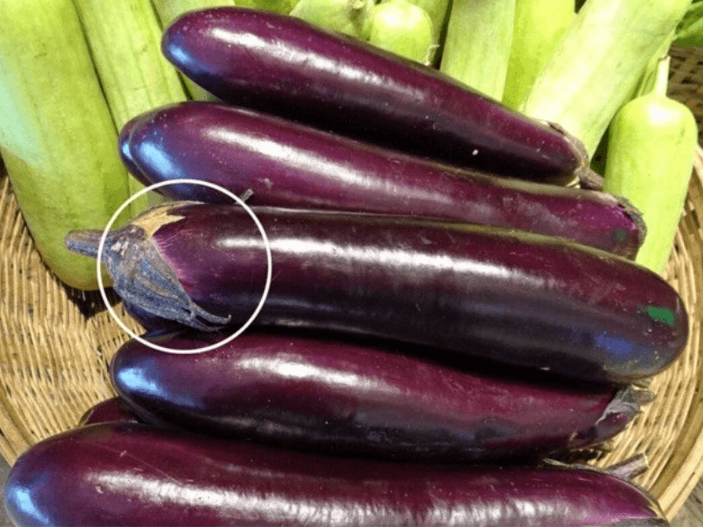 Cach-chon-ca-tim-tuoi-ngon